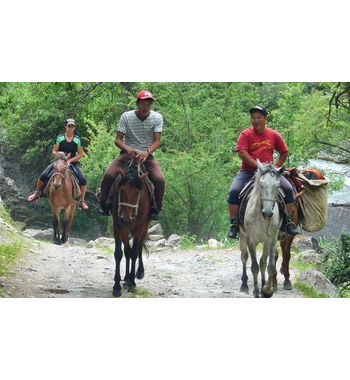 На конях по Узбекистану и Киргизии